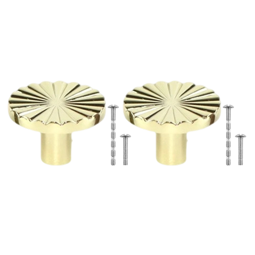 2PCS Retro Zinc Alloy Cabinet  - Furniture Hardware Screws recensione e prezzo
